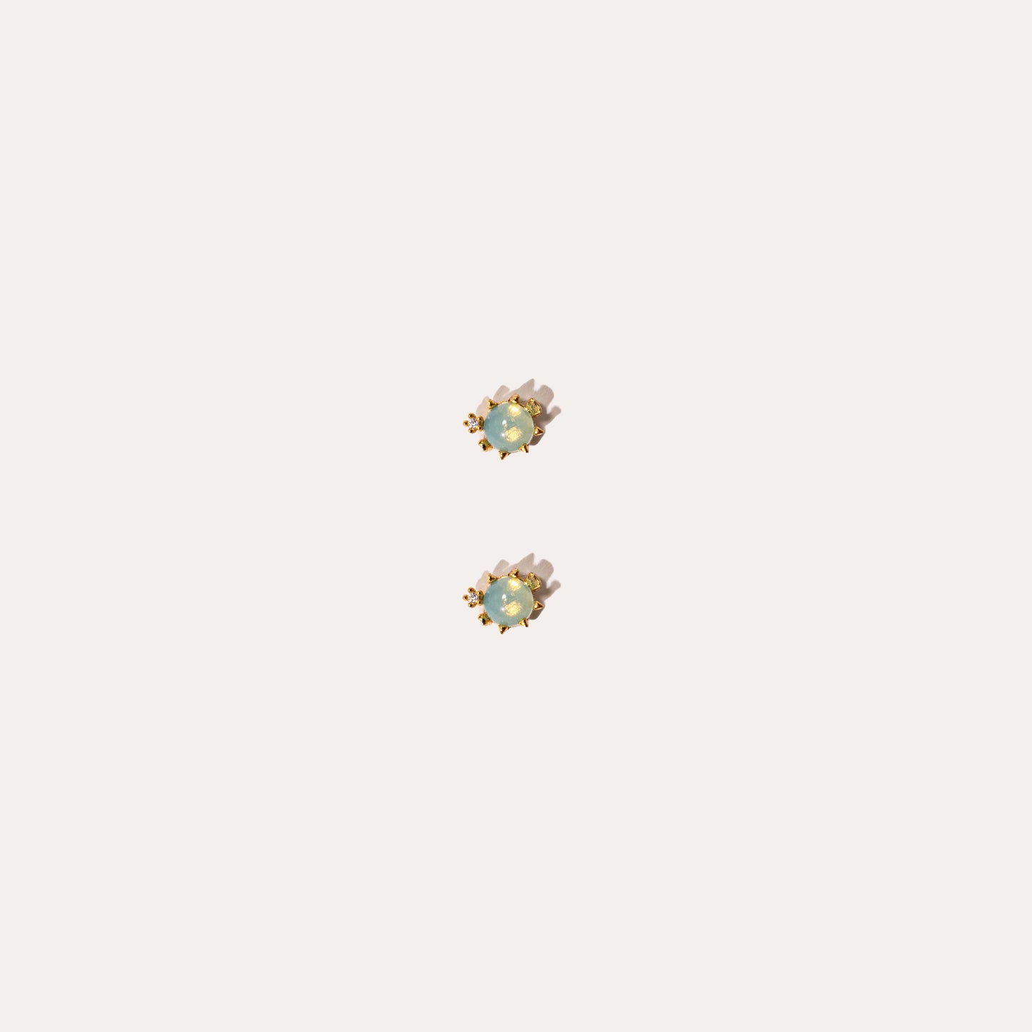 Life Aquatic | Blowfish