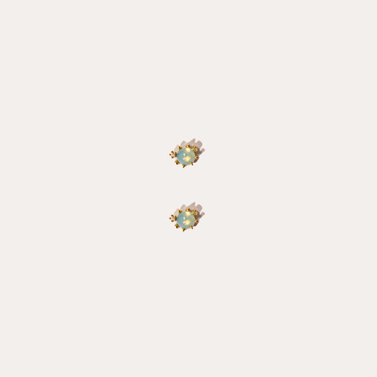 Life Aquatic | Blowfish