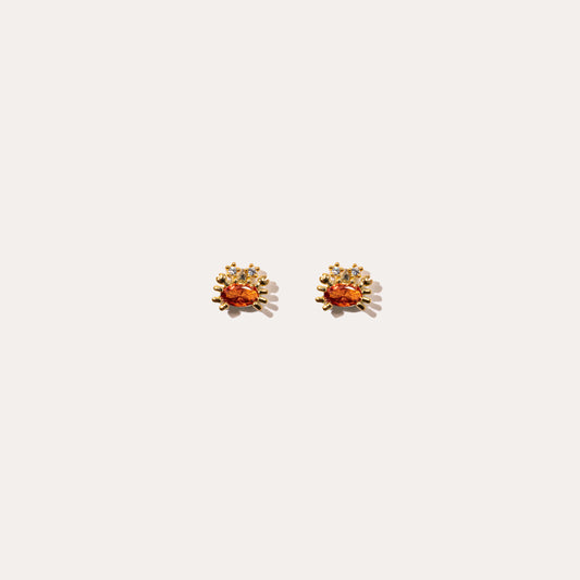 Life Aquatic | Crabs