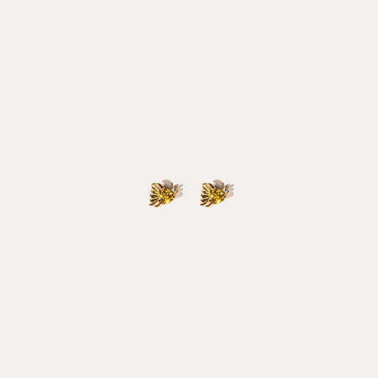 Life Aquatic | Goldfish