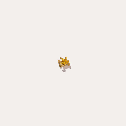 life aquatic elements goldfish