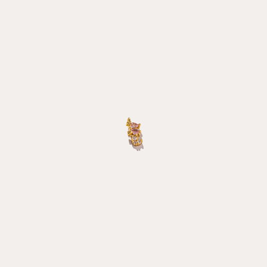 life aquatic elements seahorse