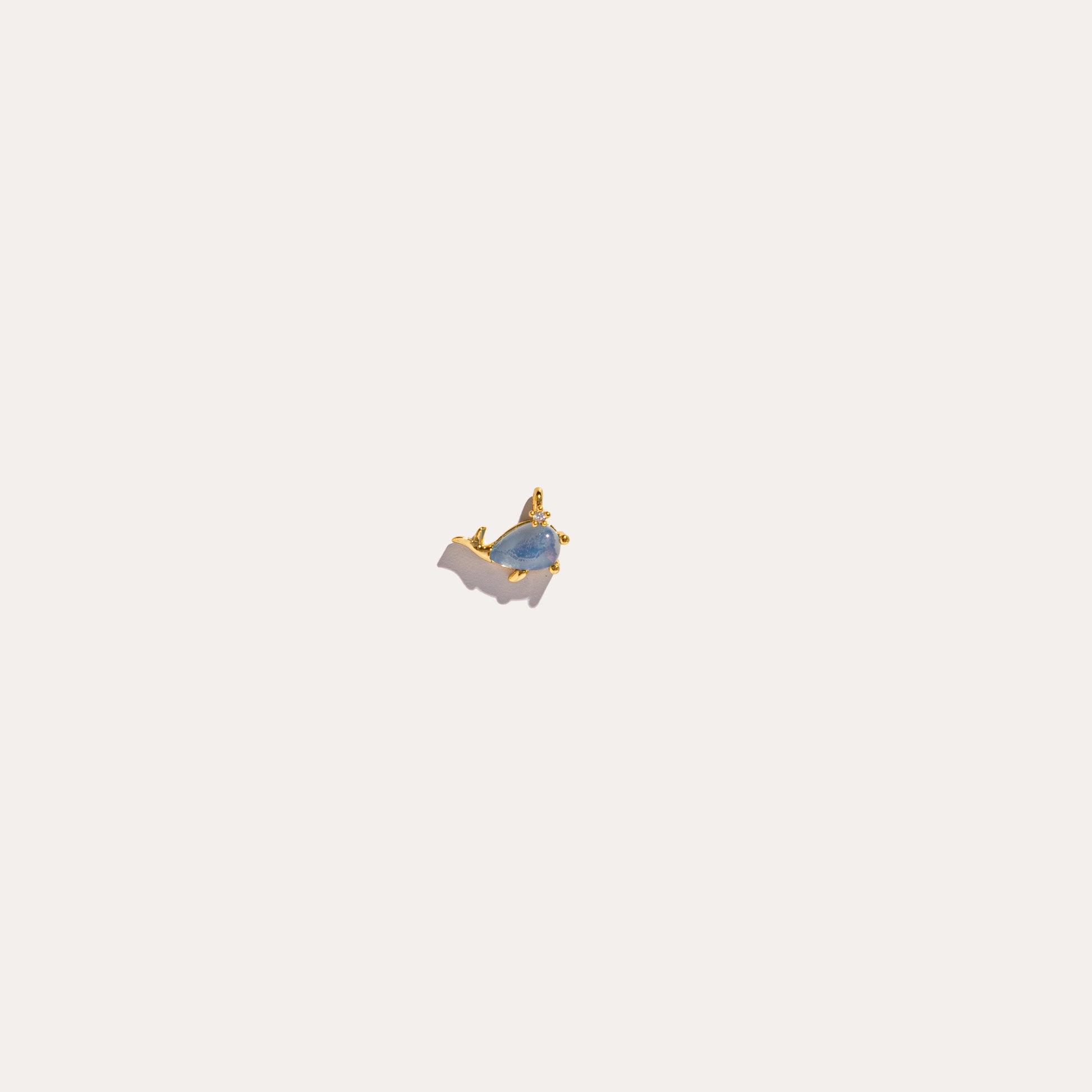 life aquatic elements whale