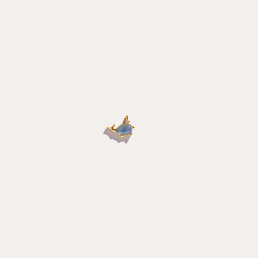 life aquatic elements whale