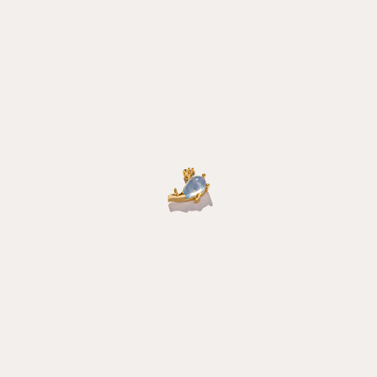life aquatic elements whale