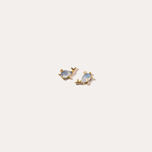 life aquatic earrings